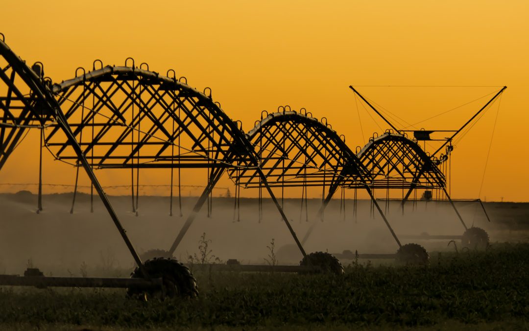 La digitalización del regadío en España: clave para una agricultura sostenible y eficiente
